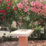 La Terrazza Sulla Baia Di Calvi